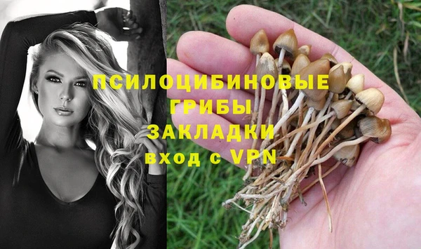 эйфоретик Алексеевка